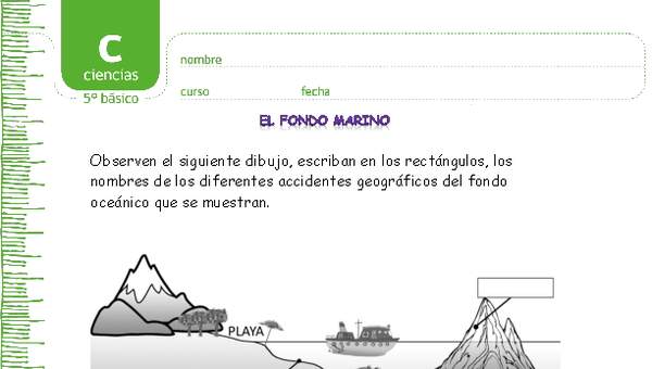 El fondo marino El fondo marino