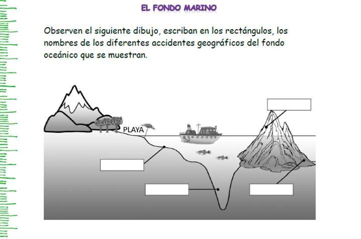 El fondo marino El fondo marino