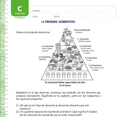 Pirámide alimenticia Pirámide alimenticia