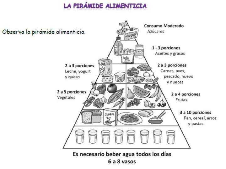 Pirámide alimenticia Pirámide alimenticia