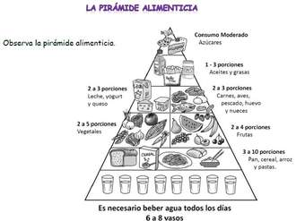 Pirámide alimenticia Pirámide alimenticia