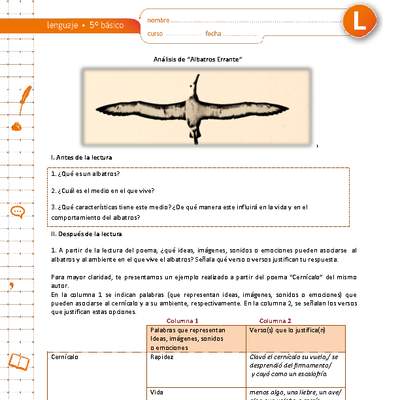 Análisis de Albatros Errante Análisis de Albatros Errante
