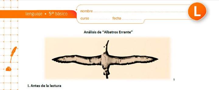 Análisis de Albatros Errante Análisis de Albatros Errante