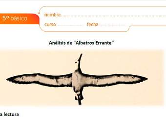 Análisis de Albatros Errante Análisis de Albatros Errante