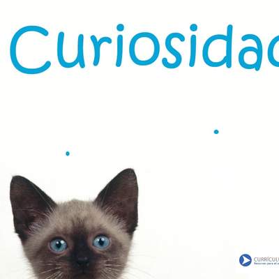 Curiosidad Curiosidad