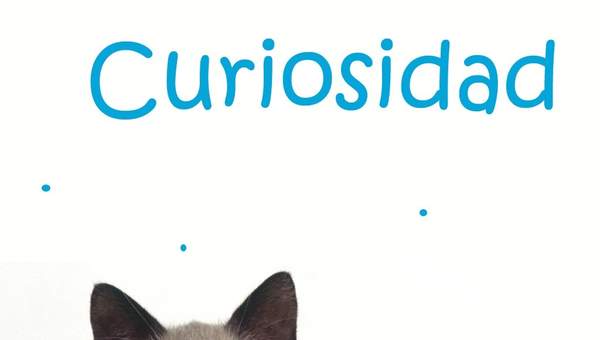 Curiosidad Curiosidad