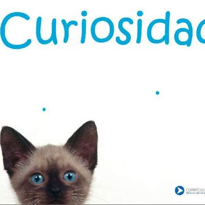 Curiosidad Curiosidad