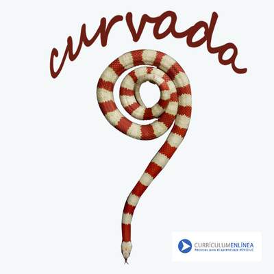 Curvada Curvada