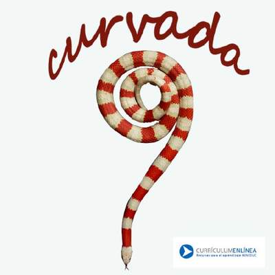 Curvada Curvada