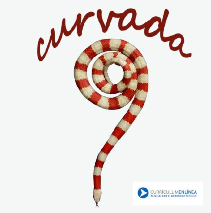 Curvada Curvada