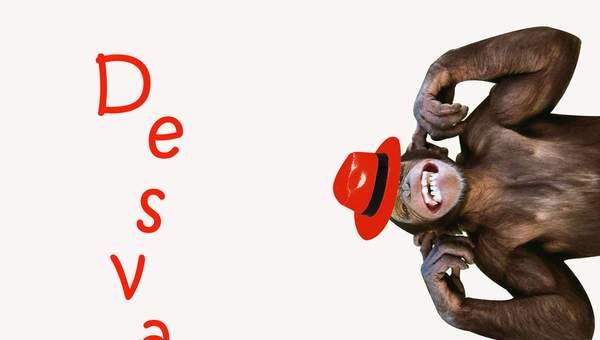 Afiche de vocabulario: desvarío Afiche de vocabulario: desvarío