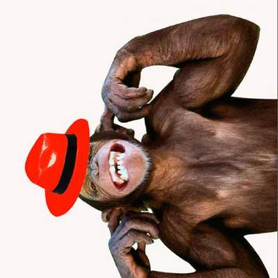 Afiche de vocabulario: desvarío Afiche de vocabulario: desvarío