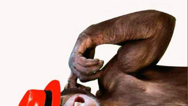 Afiche de vocabulario: desvarío Afiche de vocabulario: desvarío