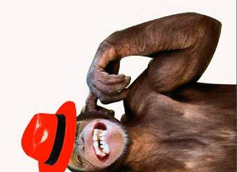 Afiche de vocabulario: desvarío Afiche de vocabulario: desvarío