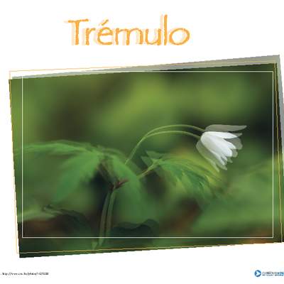 Afiche de vocabulario: trémulo Afiche de vocabulario: trémulo