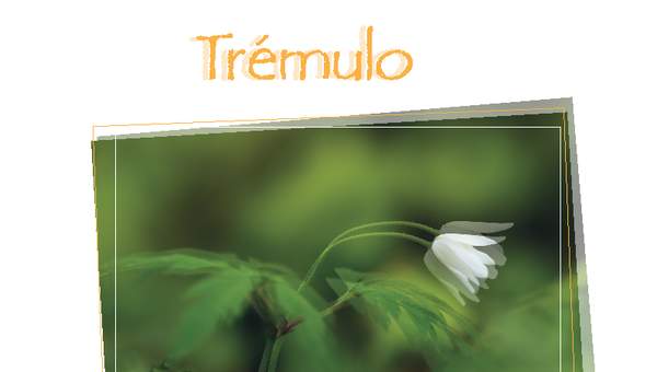Afiche de vocabulario: trémulo Afiche de vocabulario: trémulo