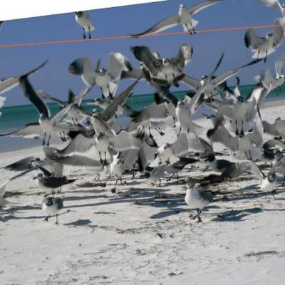 Afiche de vocabulario: alboroto Afiche de vocabulario: alboroto