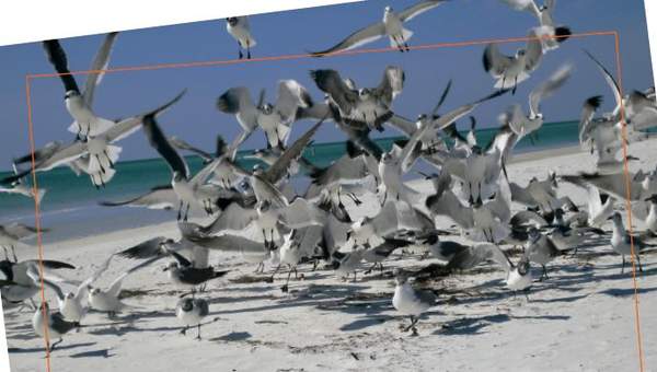 Afiche de vocabulario: alboroto Afiche de vocabulario: alboroto