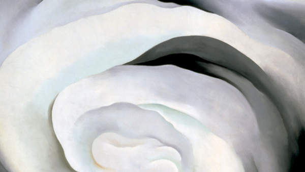 Flor Georgia Okeefe Flor Georgia Okeefe