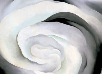 Flor Georgia Okeefe Flor Georgia Okeefe