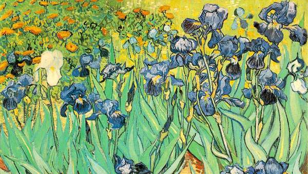 Lirios de Vincent Van Gogh Lirios de Vincent Van Gogh