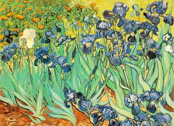Lirios de Vincent Van Gogh Lirios de Vincent Van Gogh