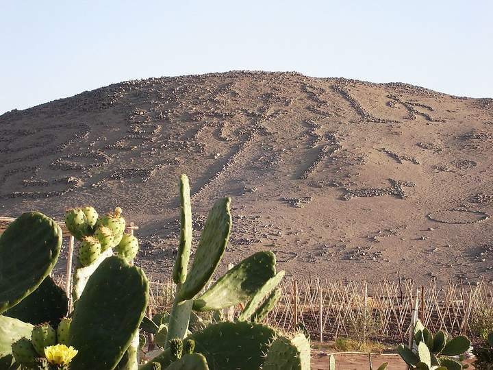 Geoglifo Cerro Sagrado, Valle Azapa, Arica Geoglifo Cerro Sagrado, Valle Azapa, Arica