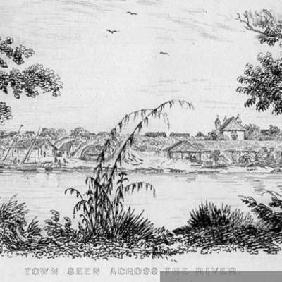 Dibujo de árboles en Valdivia Dibujo de árboles en Valdivia