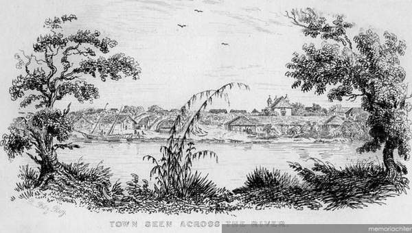 Dibujo de árboles en Valdivia Dibujo de árboles en Valdivia