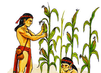 Agricultura maya Agricultura maya