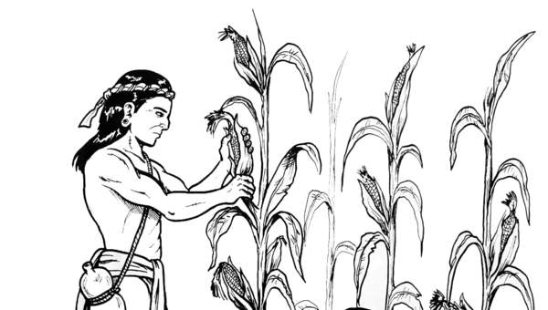 Agricultura maya Agricultura maya