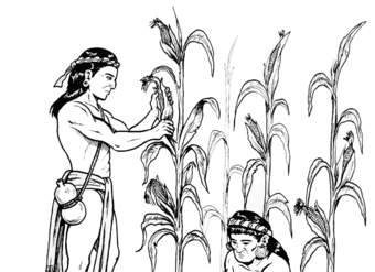 Agricultura maya Agricultura maya