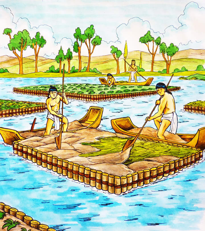 Chinampas Chinampas