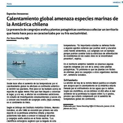 Calentamiento global amenaza especies marinas de la Antártica chilena