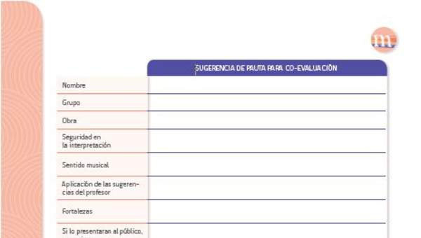 Pautas de evaluación Pautas de evaluación