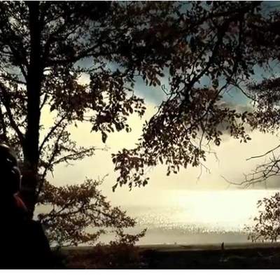 Recorriendo el Sur de Chile Recorriendo el Sur de Chile