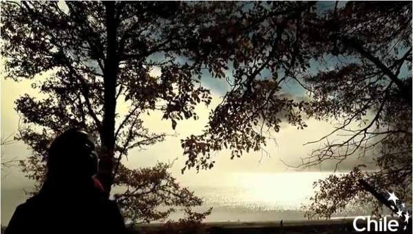 Recorriendo el Sur de Chile Recorriendo el Sur de Chile