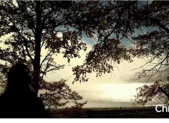 Recorriendo el Sur de Chile Recorriendo el Sur de Chile