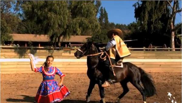 Recorriendo la Zona Central de Chile Recorriendo la Zona Central de Chile