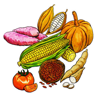 Productos agrícolas mayas Productos agrícolas mayas