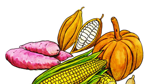 Productos agrícolas mayas Productos agrícolas mayas