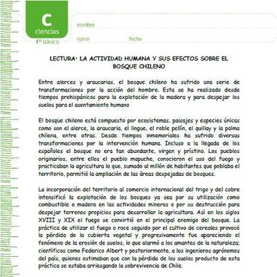 La actividad humana y sus efectos sobre el bosque chileno La actividad humana y sus efectos sobre el bosque chileno