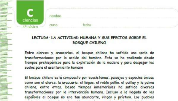 La actividad humana y sus efectos sobre el bosque chileno La actividad humana y sus efectos sobre el bosque chileno