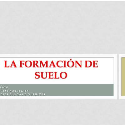 La formación de los suelos La formación de los suelos