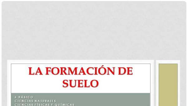 La formación de los suelos La formación de los suelos