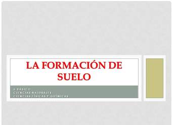 La formación de los suelos La formación de los suelos