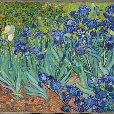 Irises de Vincent Van Gogh Irises de Vincent Van Gogh
