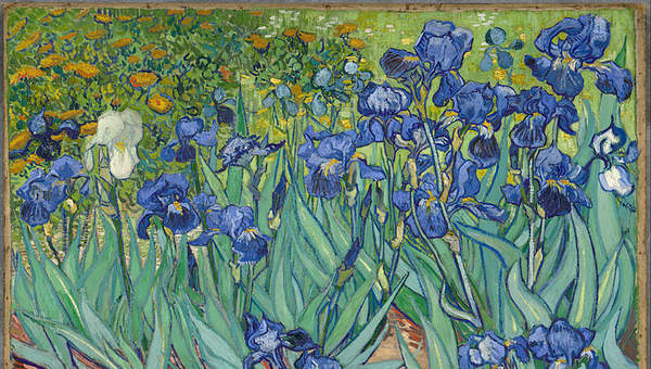 Irises de Vincent Van Gogh Irises de Vincent Van Gogh