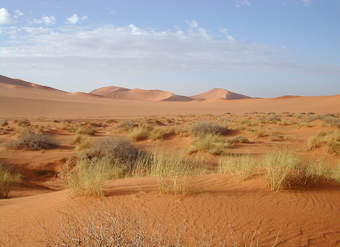 Desierto del Sahara