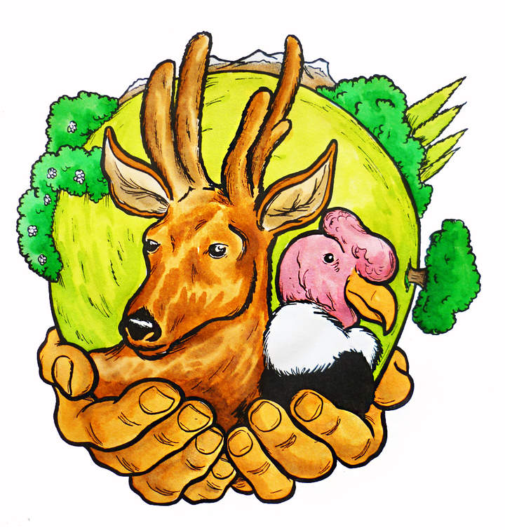 Cuidemos el medio ambiente Cuidemos el medio ambiente